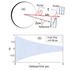 Reading Charge Transport from the Spin Dynamics on the Surface of a Topological Insulator