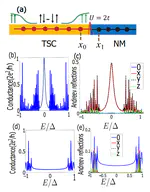 Universal spin-triplet superconducting correlations of Majorana fermions