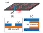 Superconducting spin properties of Majorana nanowires and the associated spin-orbit coupling driven transverse supercurrent