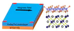 Lattice distortion induced first- and second-order topological phase transition in a rectangular high-Tc superconducting monolayer